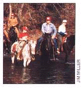Horseback riding is another activity enjoyed by visitors to Scott's Gulf